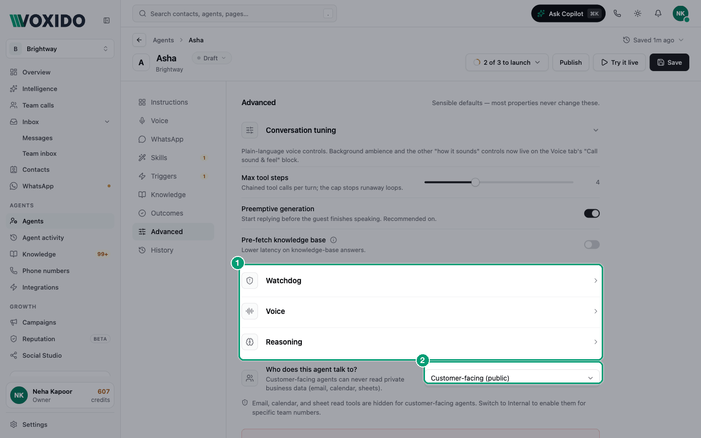 Agent editor — Advanced section