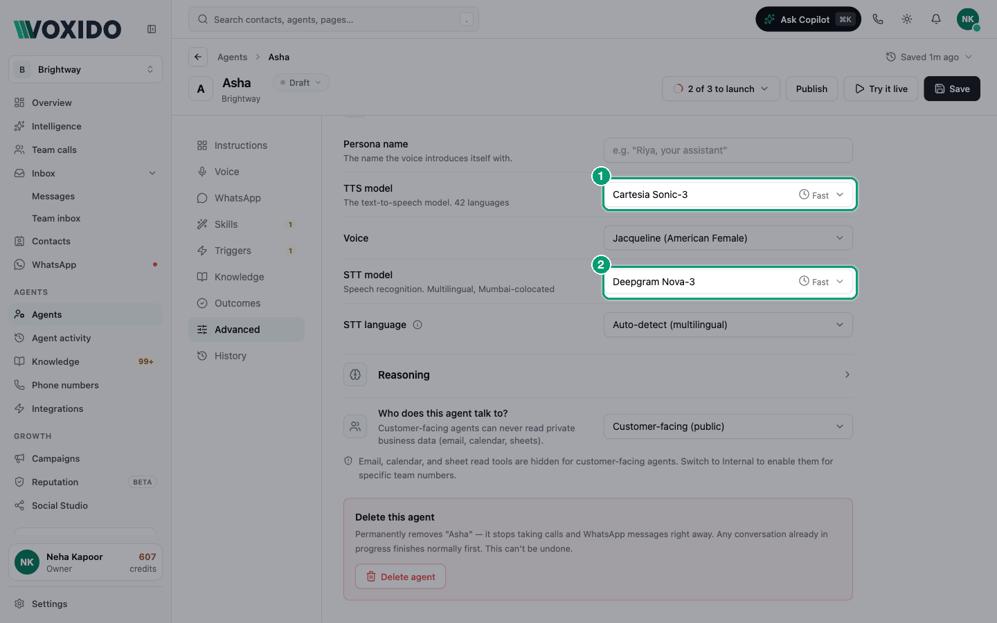 Advanced — Voice and Reasoning groups