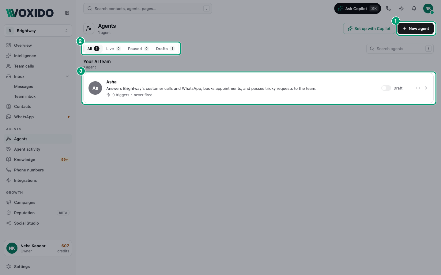 Agents list with three Brightway agents