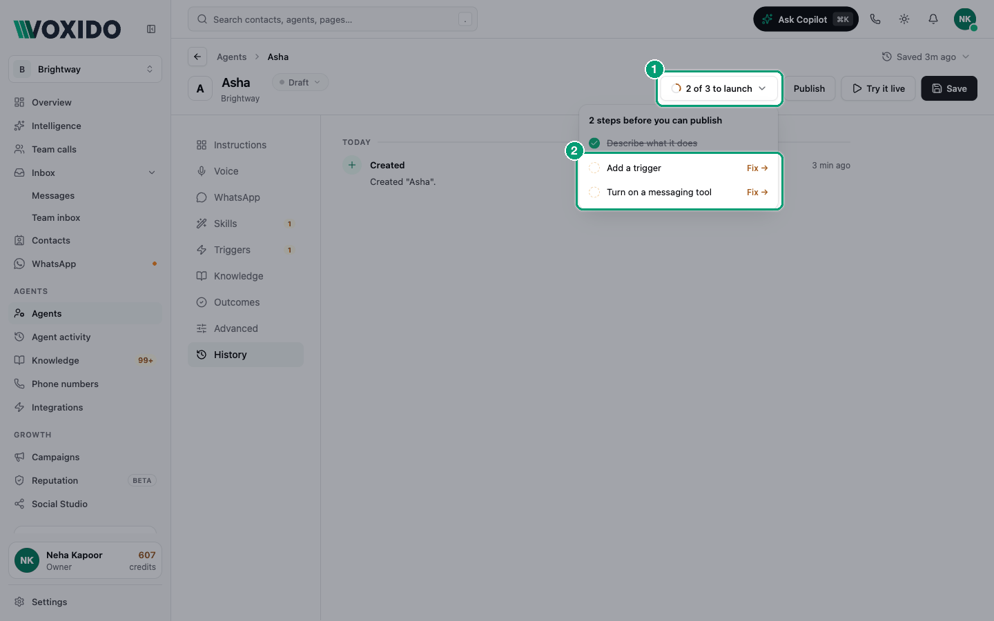 Launch checklist on a draft agent