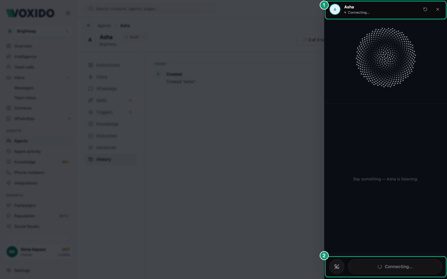 Try it live panel during a test call