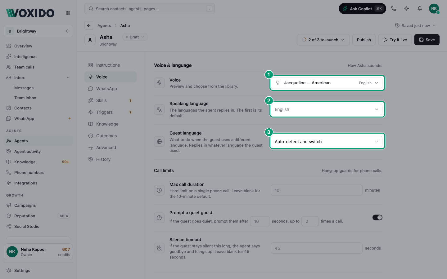 Agent editor — Voice section