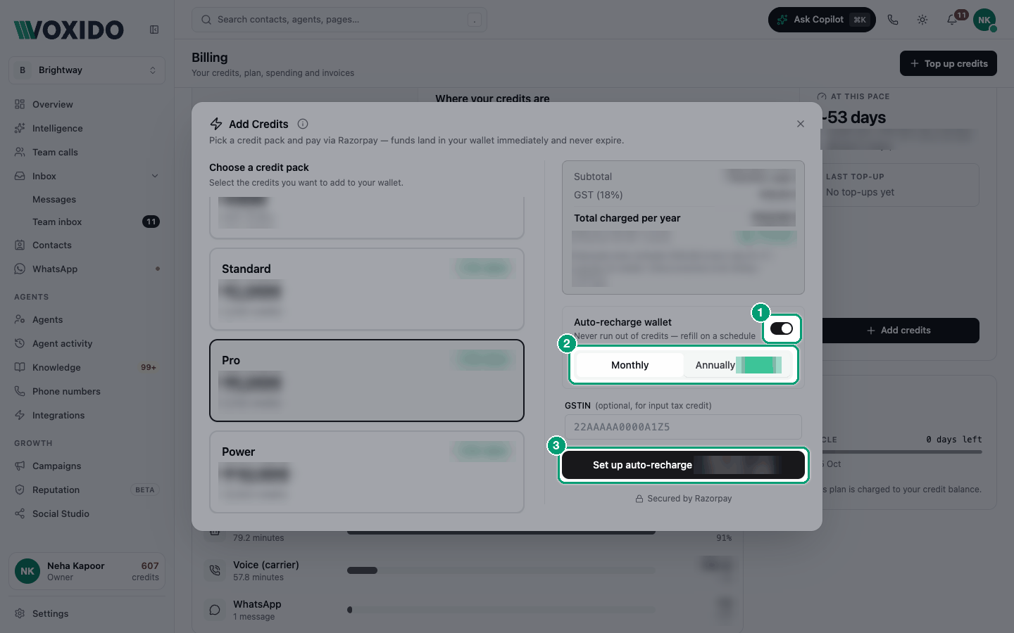 Add Credits window with auto-recharge turned on