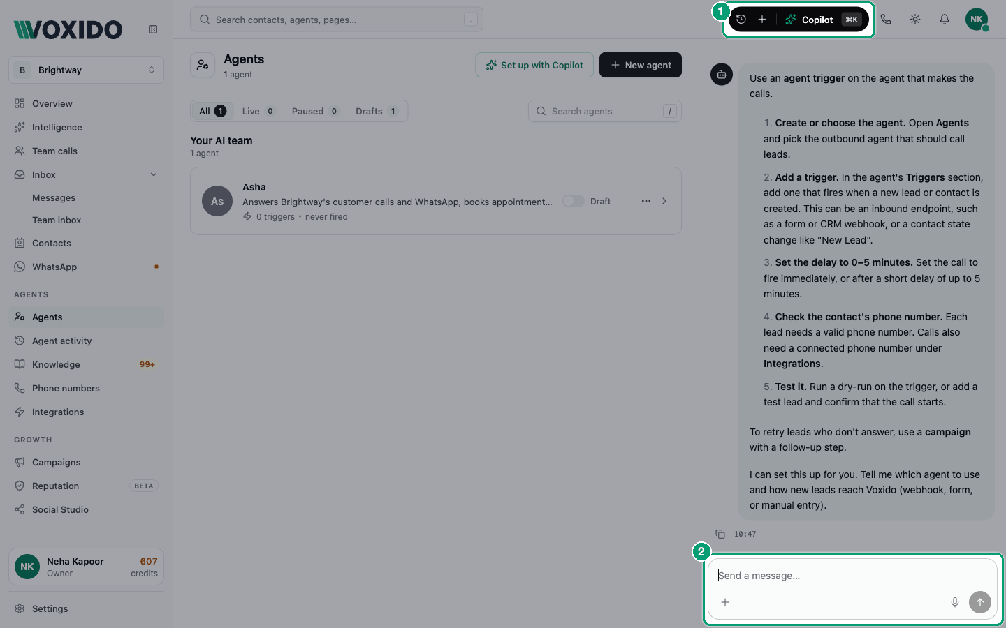 Copilot panel open beside the Overview page