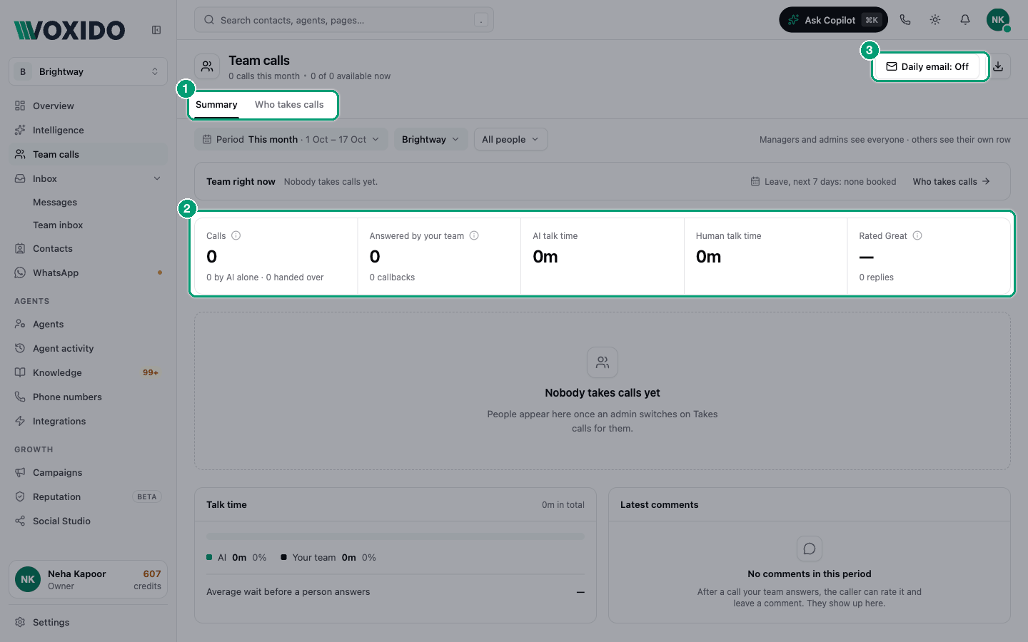 Team calls — Summary tab
